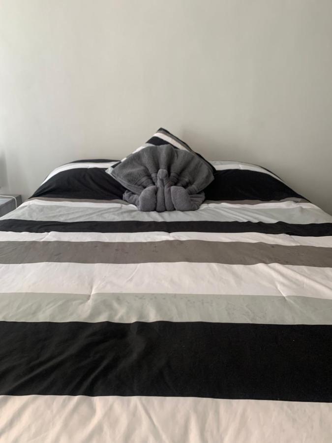 Hermoso Departamento En Coyoacan 멕시코 시 외부 사진